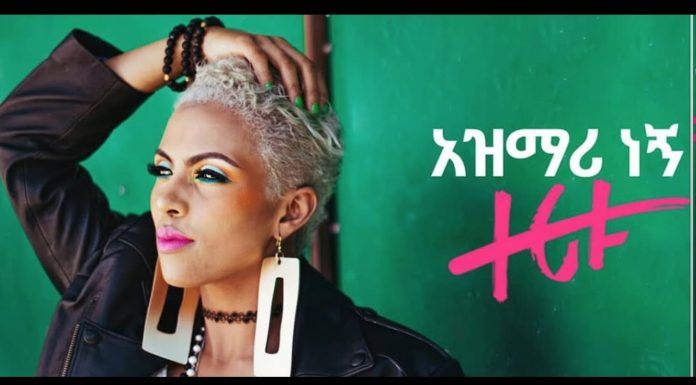 Azmari Negn – አዝማሪ ነኝ Zeritu Kebede | Amharic Music